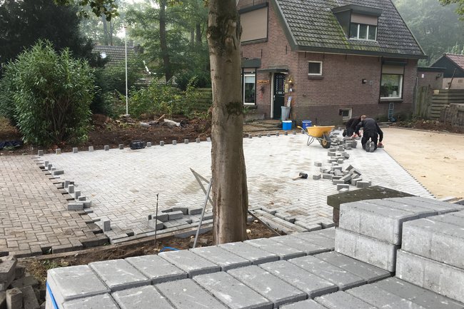 BtHgroen-4