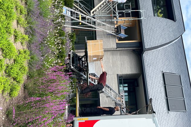 Banjo verhuizen-1