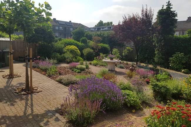 Renovatie verwilderd grasperceel - 5 maanden later (3 van 3)