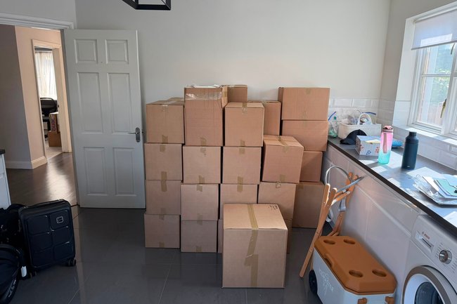 Elephant Removals ltd-9
