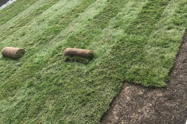 Sproeiwerken en tuinonderhoud W&W-3