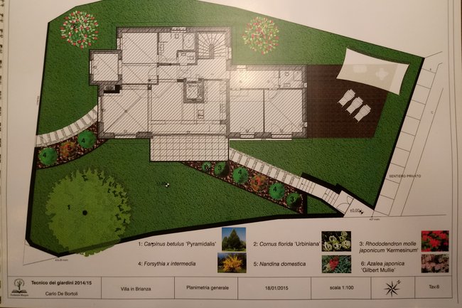 Progettazione giardini