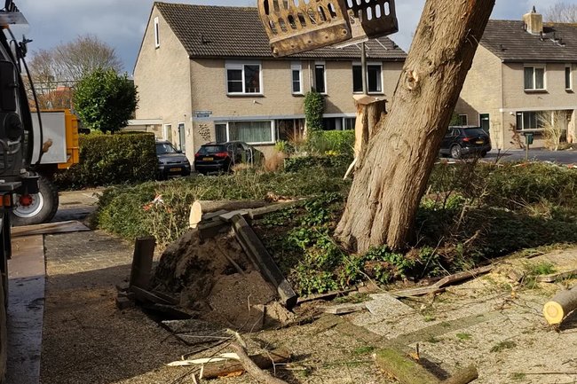 Stormschade verwijderen met een mobiele kraan.