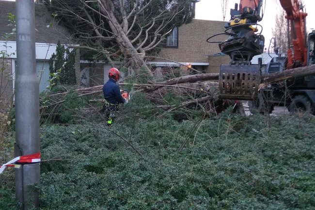 Stormschade verwijderen met een mobiele kraan.