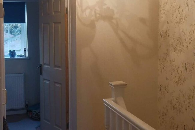 K. R. W Painter & Decorator-32