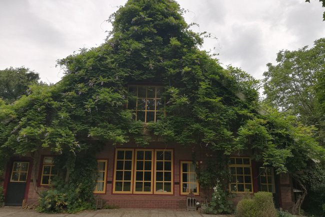 De Tuinbarbier-12