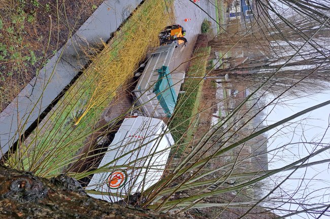 Wilgen knotten.