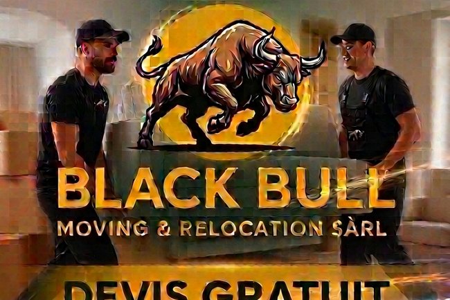 Black bull moving & relocation Sarl-17