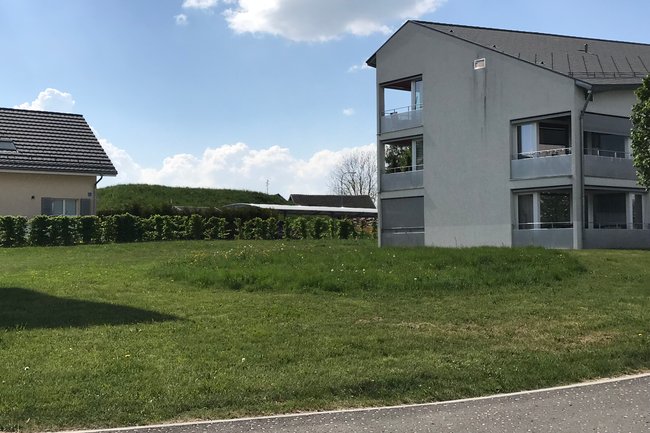 ENTRETIEN de Prairie ( Lausanne, VD )