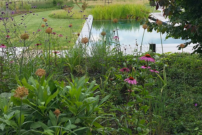 Carla Rovers Vormgeving stad en landschap-3