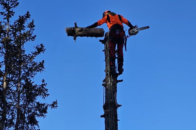 La 5ème saison jardinier-paysagiste-5