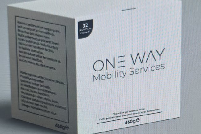 ONE WAY GLOBAL MOBILITY SERVICES LTD-1