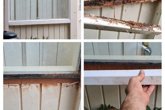 Houtrot reparatie