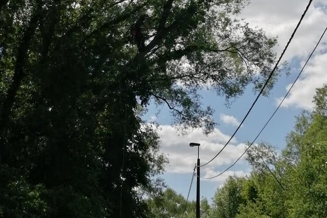 Vrijmaken electriciteitsbekabeling