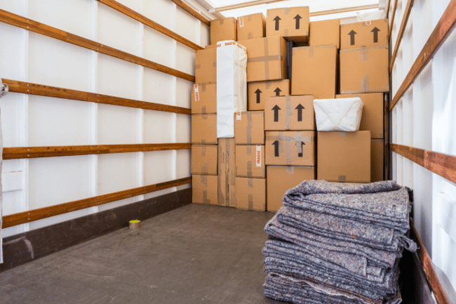 Les fourmis du déménagement-1