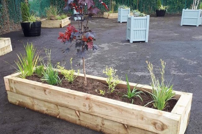 Raised beds and timber planters