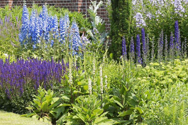 Ruuds Tuinen neemt uw zorg uit handen!!
www.ruudstuinen.nl