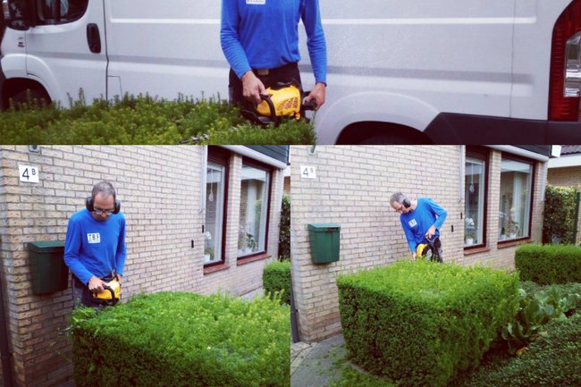 Snoeiwerkzaamheden Dronten
