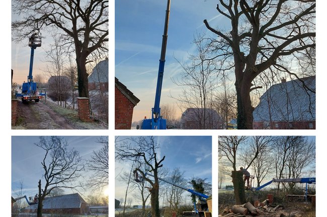 boom afbreken dmv hoogwerker