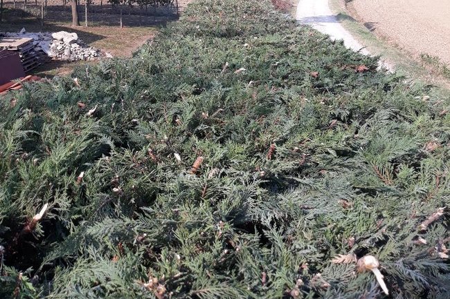 Foto Aerea di come lavora il mio attrezzo nuovo