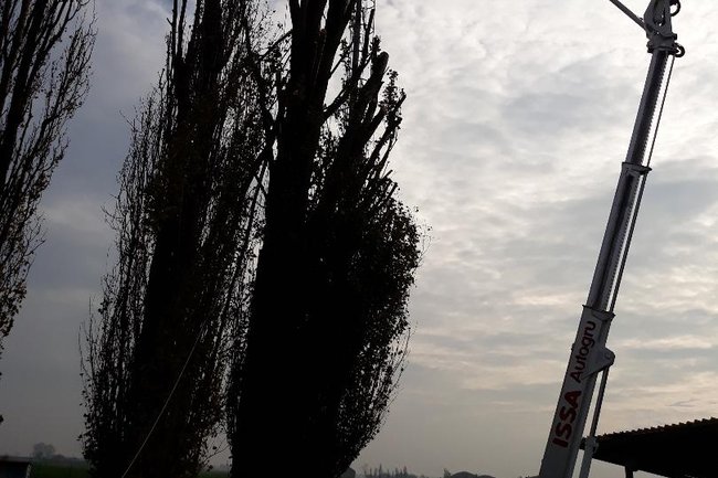 Ecco cosa si prova a stare a 23 mt di altezza a lavorare