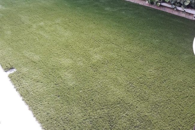 Realizzazione di un Giardino con Prato Sintetico