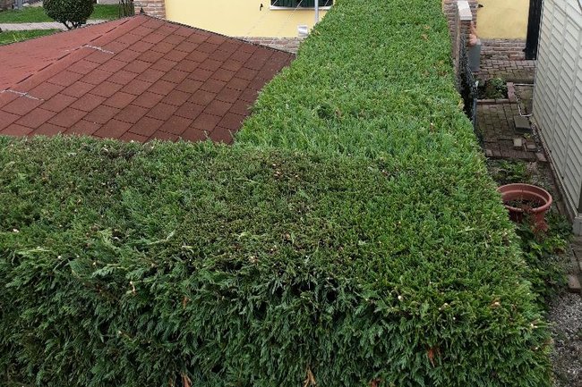 Foto Aerea della Siepe del giardino di una villetta