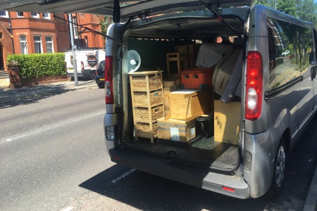 Silver Bullet Removals-1