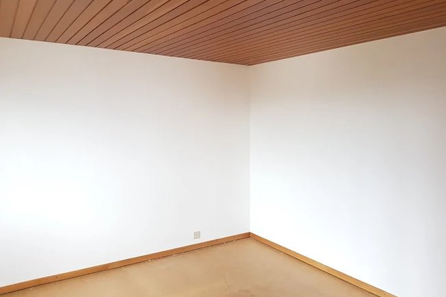 Maler Mathias Schütt-15