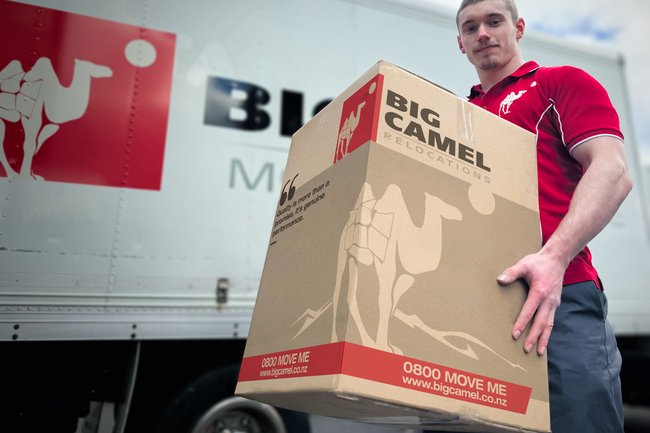 Big Camel Moving & Storage-8