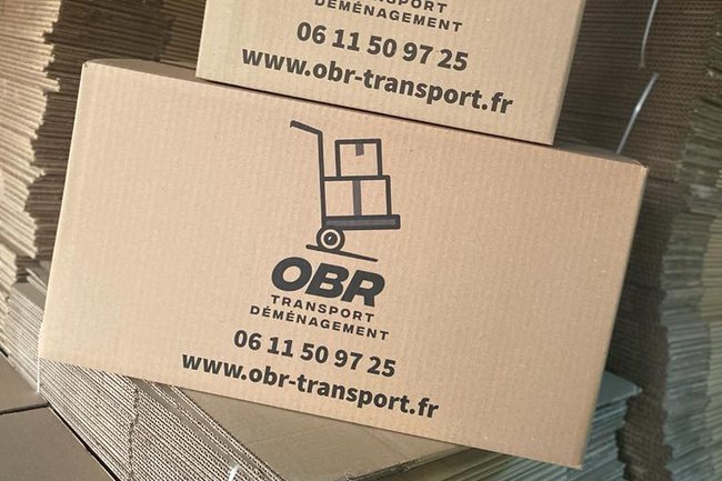 OBR TRANSPORT-2