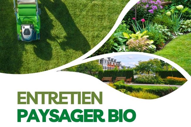 ADENIA Sàrl Jardin & Paysage-1