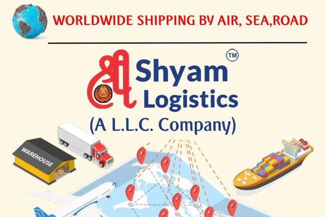 shree shyam logistics llc-2