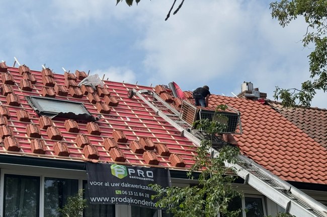 Pro dakonderhoud-1