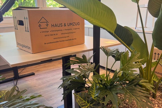Haus & Umzug Buxtehude GmbH-7