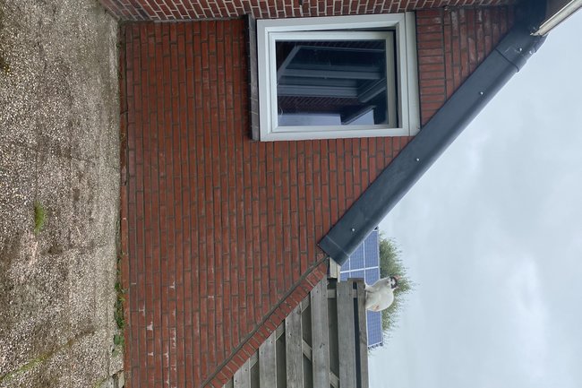 Voegrenovatie