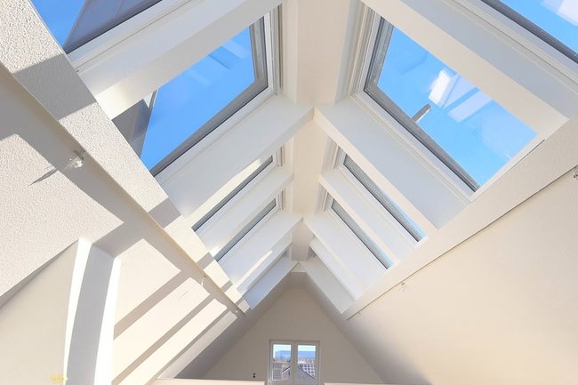 Apex Roof-3