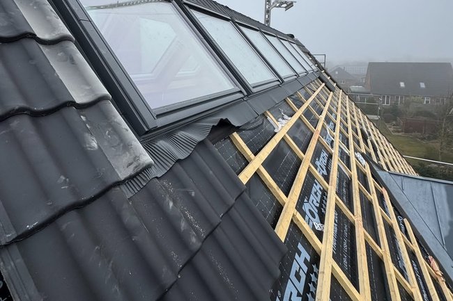 Apex Roof-2
