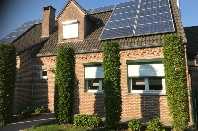 Rolluik RAL 6022 voor bak/geleider en onderlat, lamellen wit