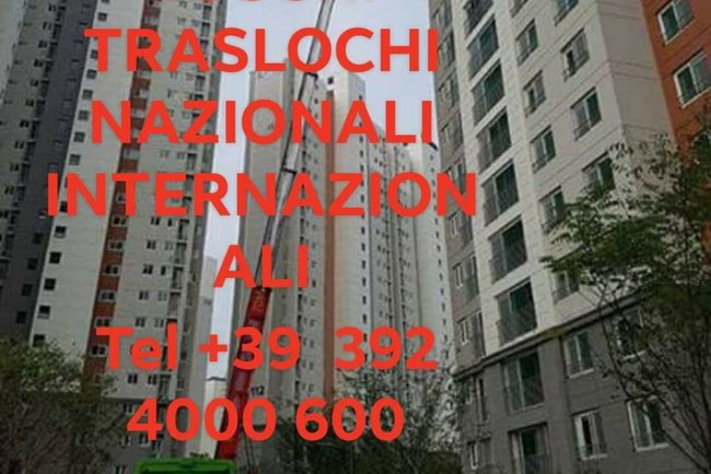 Boschi Traslochi-1