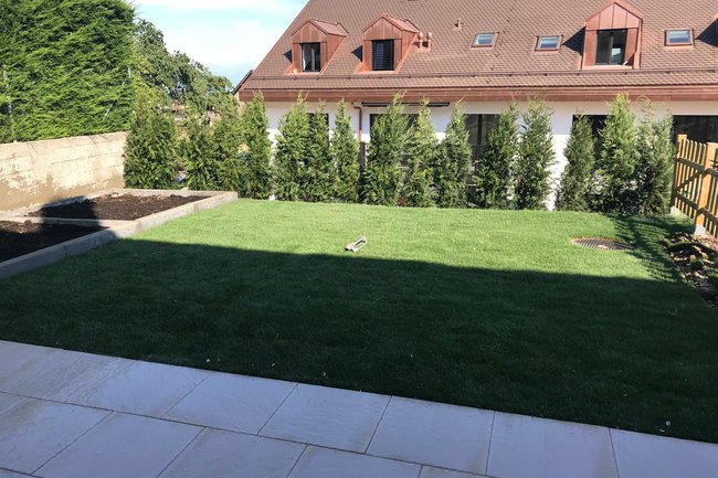 Création complète, gazon, haie, potager et terrasse