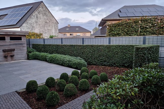 HS GROENDESIGN-12