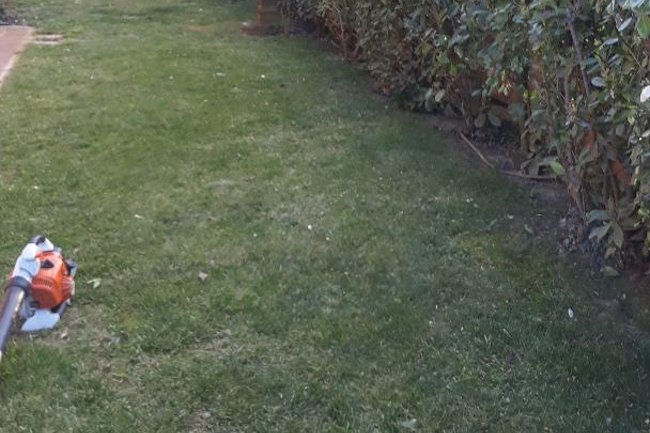 Foto Giardino Consandolo