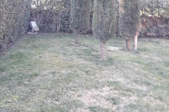 Foto Giardino Consandolo