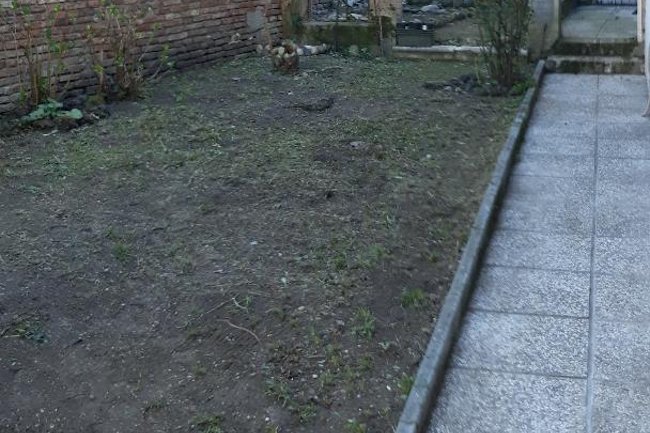 Foto del Giardino in Centro a Ferrara Potato