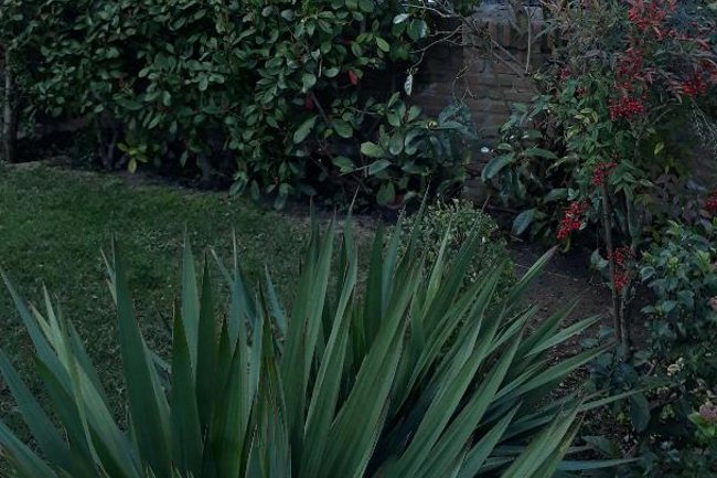 Foto Giardino Consandolo