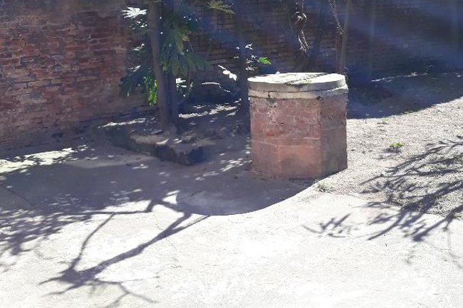 Foto del Giardino in Centro a Ferrara Potato