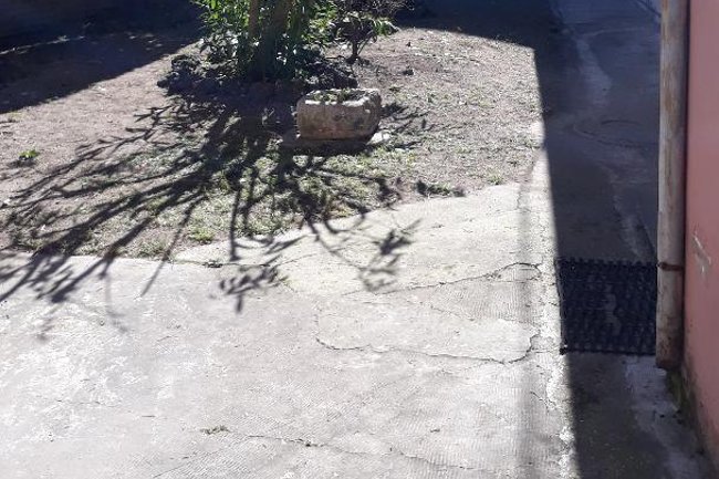 Foto del Giardino in Centro a Ferrara Potato