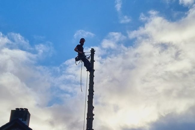 Ikwilvanmijnboompjeaf.nl-3