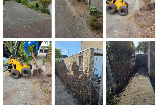 Conifwerenhaag verwijderd, grond ververst en rode beukenhaag